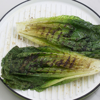 grilled romaine lettuce