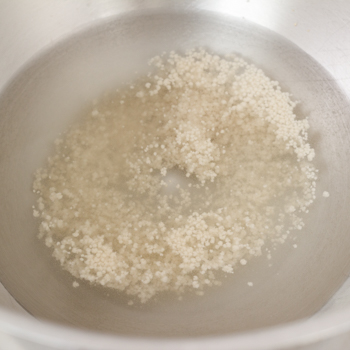 Yeast in a bowl bubbling.